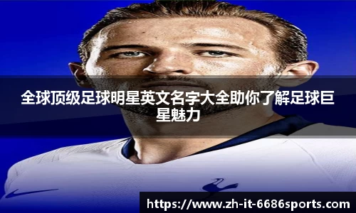 6686官方网站